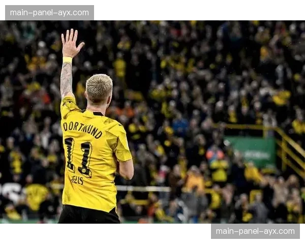 观点：老将罗伊斯在有限的出场时间内，如何继续影响多特蒙德的比赛？