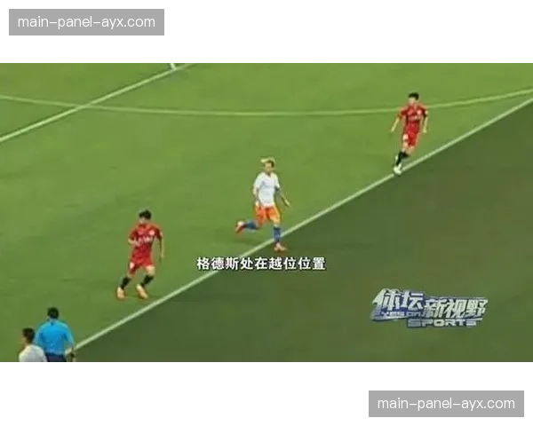 深度通讯：一粒点球判罚引发的连锁反应——从赛场到社交媒体